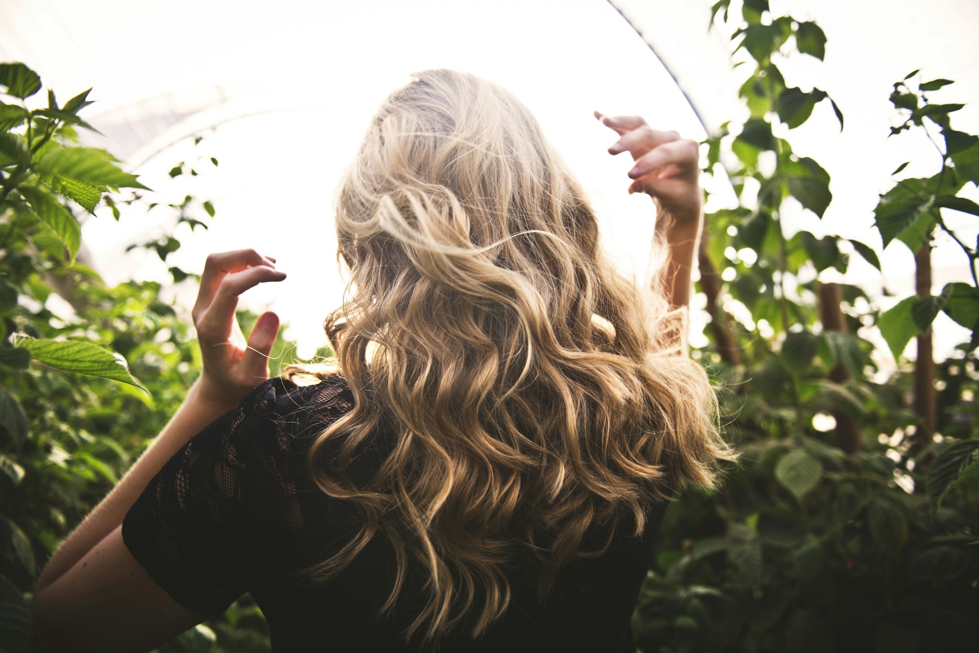 Long blonde and caramel balayage waves seen from behind in soft daylight